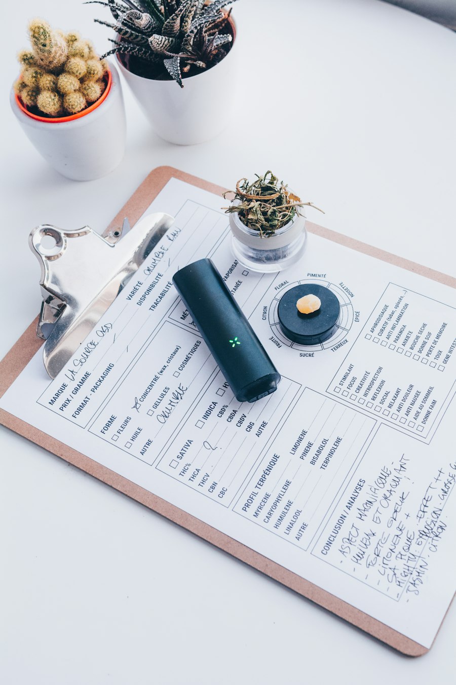 vape travel case